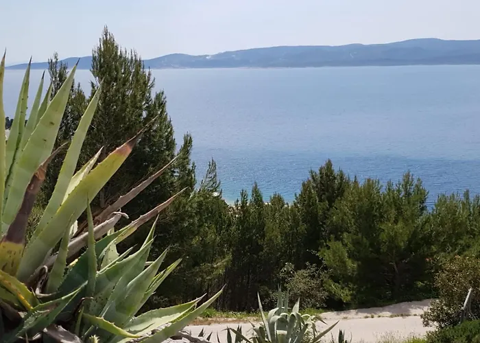 Apartment Blazevic *