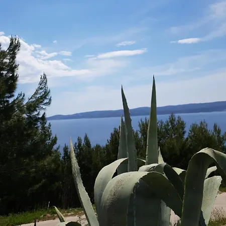 Blazevic * Omis